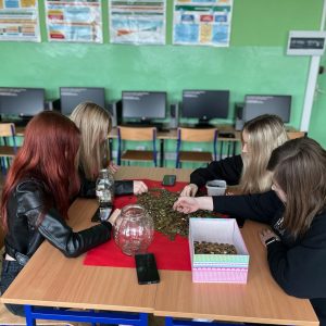 Akcja „Góra Grosza”