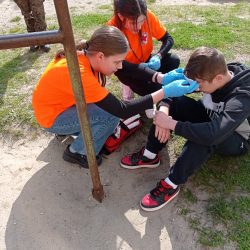 Rejonowe Mistrzostwa Pierwszej Pomocy PCK