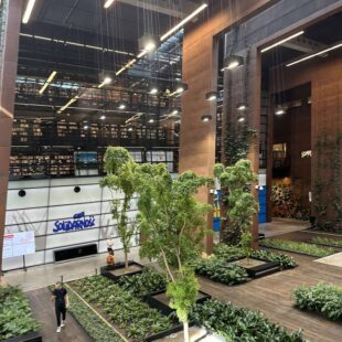 Wycieczka – Gdańsk