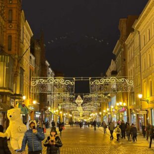 Wycieczka do Torunia