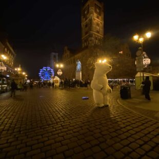 Wycieczka do Torunia
