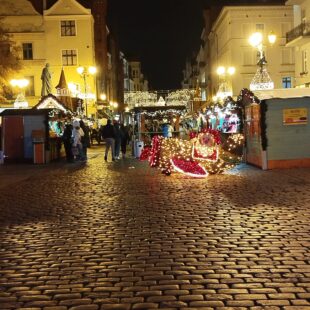 Wycieczka do Torunia