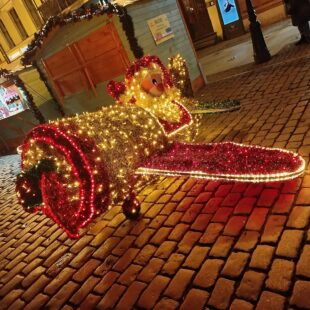 Wycieczka do Torunia