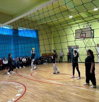 Mistrzostwa Szkoły w piłce siatkowej