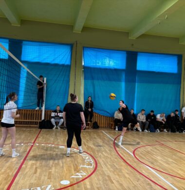 Mistrzostwa Szkoły w piłce siatkowej