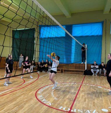 Mistrzostwa Szkoły w piłce siatkowej