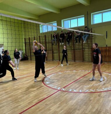 Mistrzostwa Szkoły w piłce siatkowej