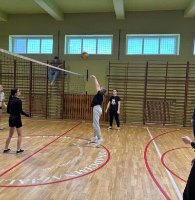 Mistrzostwa Szkoły w piłce siatkowej