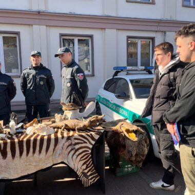 Targi Pracy 2025 w Starostwie Powiatowym w Grudziądzu