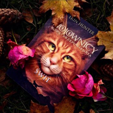 Konkurs fotograficzny