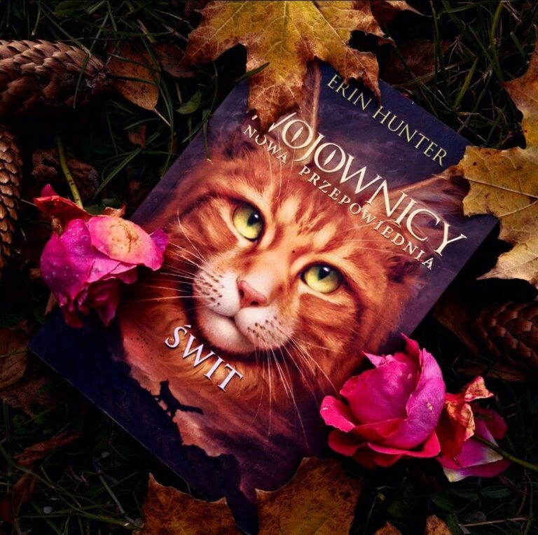 Konkurs fotograficzny