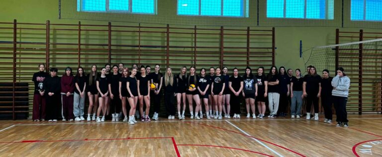 Mistrzostwa Szkoły w piłce siatkowej dziewcząt